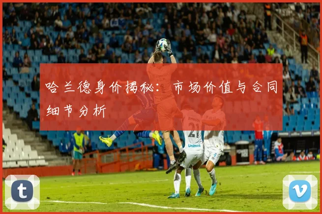 哈兰德身价揭秘：市场价值与合同细节分析