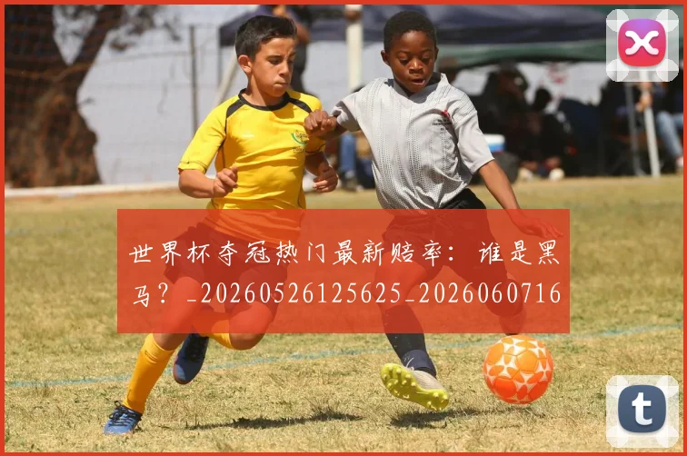 世界杯夺冠热门最新赔率：谁是黑马？_20260526125625_20260607160328